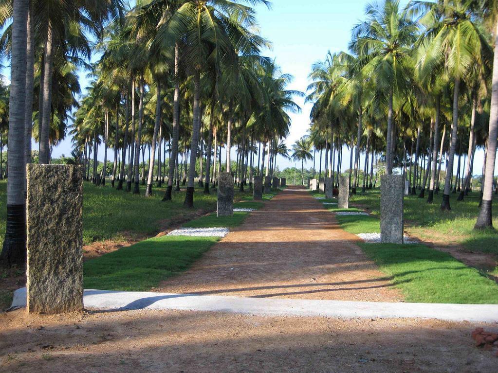 COCONUT FARM LAND FOR SALE ECR VENNAGUPATTU AT CHENNAI