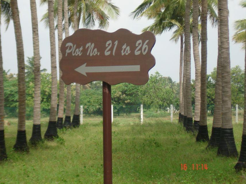 COCONUT FARM LAND FOR SALE ECR VENNAGUPATTU AT CHENNAI